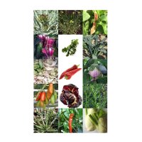 Italienische Gemüse-Raritäten - Samen-Geschenkset