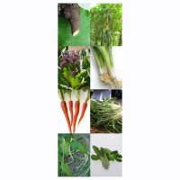 Asia-Gemüse-Sortiment - Samen-Geschenkset