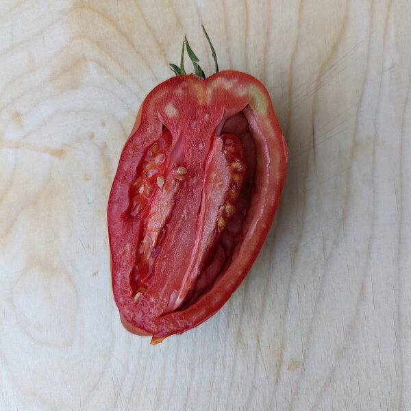 Tomate 'Andenhorn' (Solanum lycopersicum) Bio Saatgut
