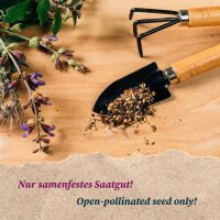 Gute Mischkulturpartner: Neuseeländer Spinat, Salat & Radieschen - Samen-Geschenkset