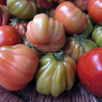 Leckere alte Fleischtomatensorten - Samenset