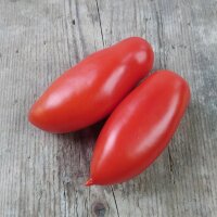Tomate San Marzano (Solanum lycopersicum) Bio Saatgut