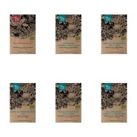 Insektenfreundliche bunte Blumen (Bio) - Samen-Geschenkset