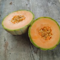 Cantaloupe Zuckermelone Retato Degli Ortolani (Cucumis...