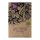 Cardy / Spanische Artischocke (Cynara cardunculus) Bio Saatgut