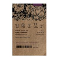 Roter Shiso (Perilla frutescens var. purpurascens) Samen