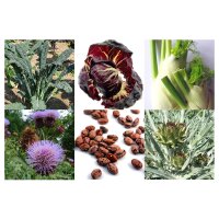 Alte italienische Gemüsesorten (Bio) - Samenset