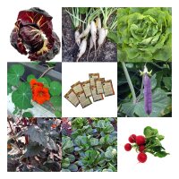 Schwachzehrer-Gemüse für das Hochbeet (Bio) - Samenset