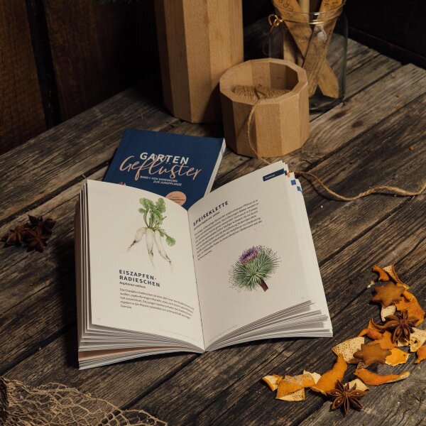 Magische Zeit - Bio-Saatgut-Adventskalender - Wundersame Kruterwelt