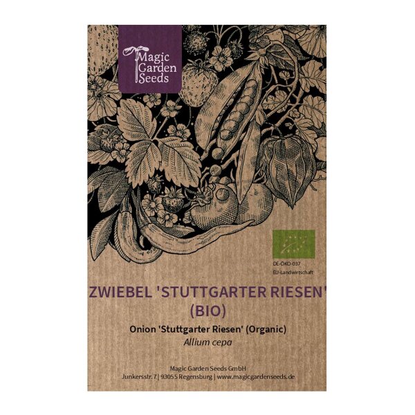 Zwiebel 'Stuttgarter Riesen' (Allium cepa) Bio Saatgut
