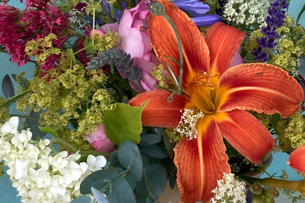 Feuer, Blüten, Kräuterduft – Feiere die Magie der Mittsommernacht  Blogpost Illustration